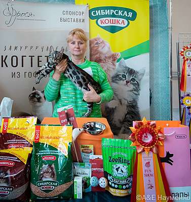 Выставка кошек 18-19.03.2023 Фотографии 5-49-0420_Moskva.jpg