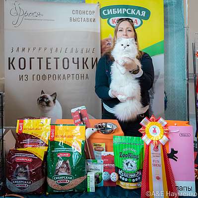 Выставка кошек 18-19.03.2023 Фотографии 10-3-0403_Moskva.jpg