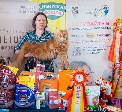 Выставка кошек 18-19.03.2023 Фотографии 1-15-0087_Moskva.jpg