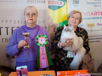 Выставка кошек 18-19.03.2023 Фотографии 3-25-0163_Moskva.jpg