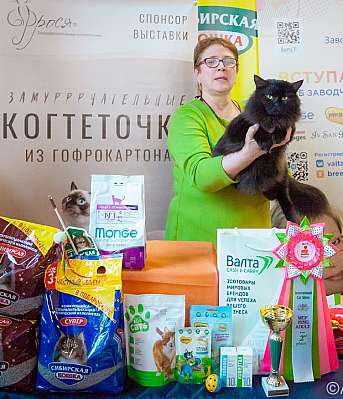 Выставка кошек 18-19.03.2023 Фотографии 2-31-0171_Moskva.jpg