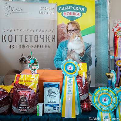 Выставка кошек 18-19.03.2023 Фотографии 10-6-0332_Moskva.jpg