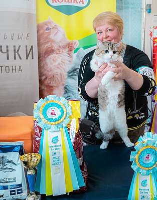 Выставка кошек 18-19.03.2023 Фотографии 5-69-0335_Moskva.jpg