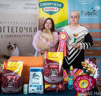 Выставка кошек 18-19.03.2023 Фотографии 2-4-0276_Moskva.jpg