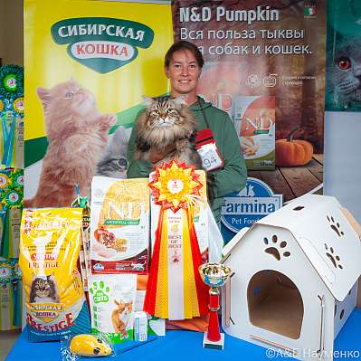 Выставка кошек 16-17.09.2023 Фотографии 3-94-klk_Moskva_0231.jpg