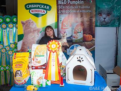 Выставка кошек 16-17.09.2023 Фотографии 9-38-klk_Moskva_0208.jpg