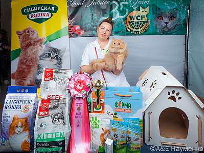 Выставка кошек 16-17.09.2023 Фотографии 14-90-klk_Moskva_0495.jpg
