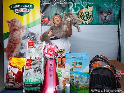 Выставка кошек 16-17.09.2023 Фотографии 3-9-klk_Moskva_0534.jpg