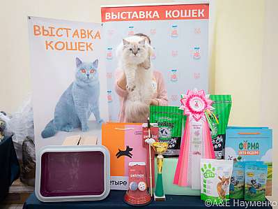 Выставка кошек 21-22.10.2023 Фотографии 5-32-IMG_3015.jpg