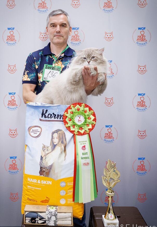 Best General 1 -  № 136 Let's Dance LucianAurora, SIB a 21 33, кот, Афанасьева С. - Шарифуллин Р.